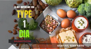 Diet's Role in Type 1 Diabetes Management