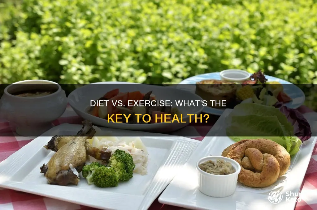 is diet or exercise more important for health