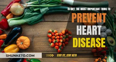 Heart Health: Diet's Role in Preventing Disease