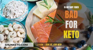 Fiber on Keto: Friend or Foe?