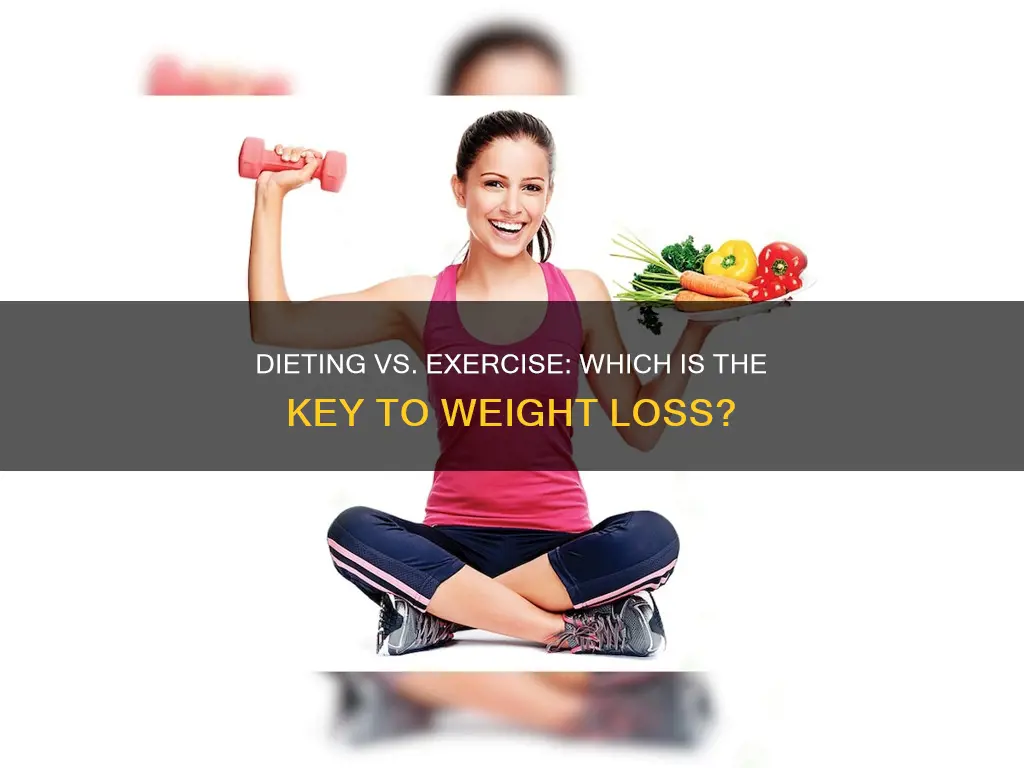is dieting more important than exercise