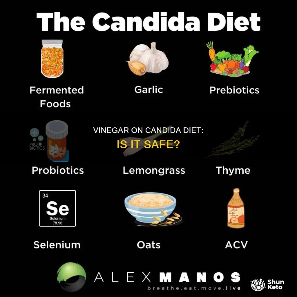 is distilled vinegar ok on candida diet