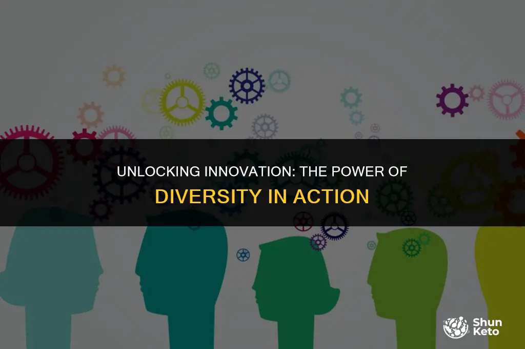 is diversity the ket to inovation
