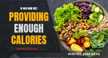 Raw Diet Caloric Intake for Dogs: Enough or Not?