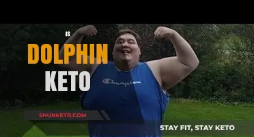 Exploring the Keto Diet: Is It Safe for Dolphins?