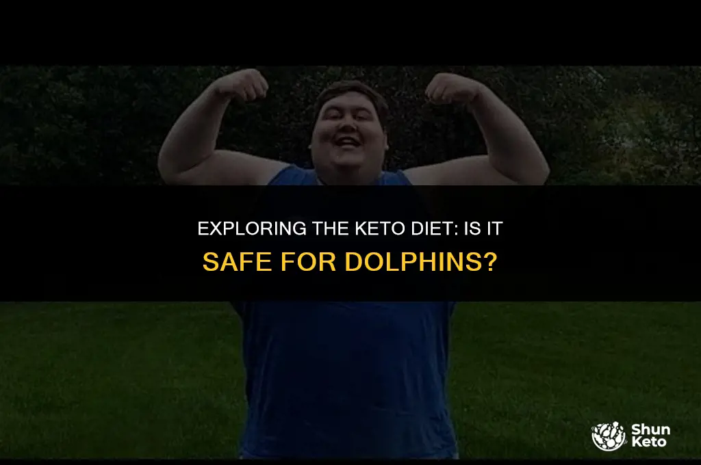 is dolphin keto