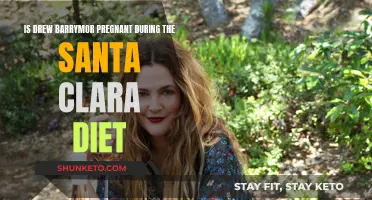 Drew Barrymore's Pregnancy During Santa Clara Diet Filming