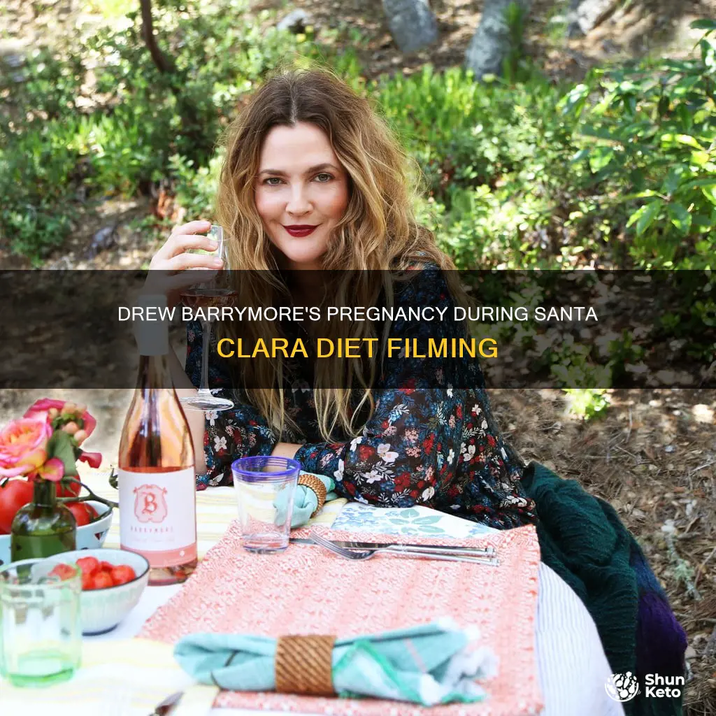 is drew barrymor pregnant during the santa clara diet