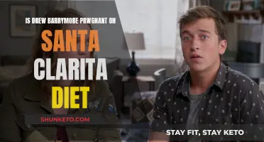 Drew Barrymore's Pregnancy in Santa Clarita Diet