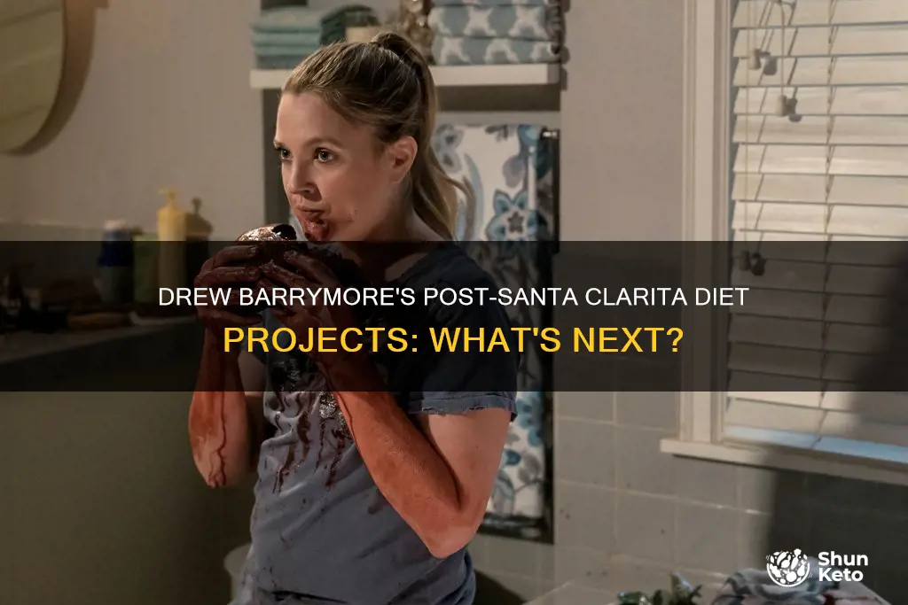 is drew berrymore making anything beside santa clarita diet