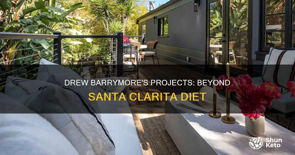 is drew berrymore making anything beside santa clarita diet