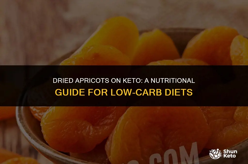 is dried apricot keto