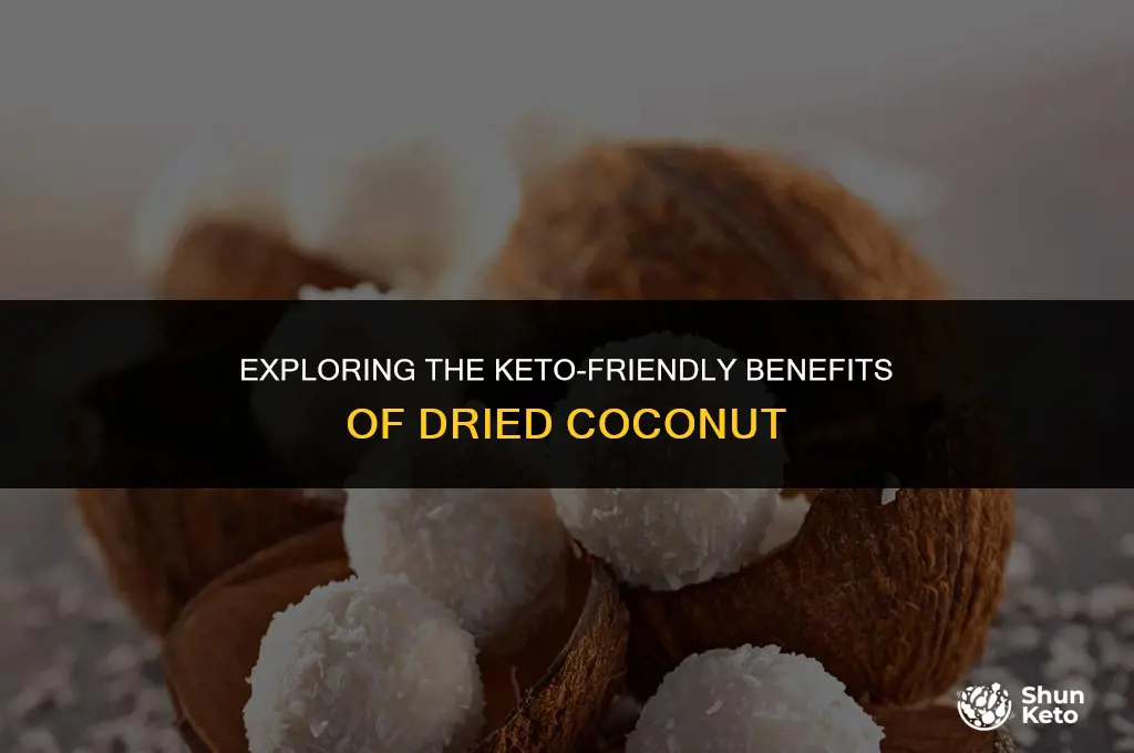 is dried coconut keto friendly