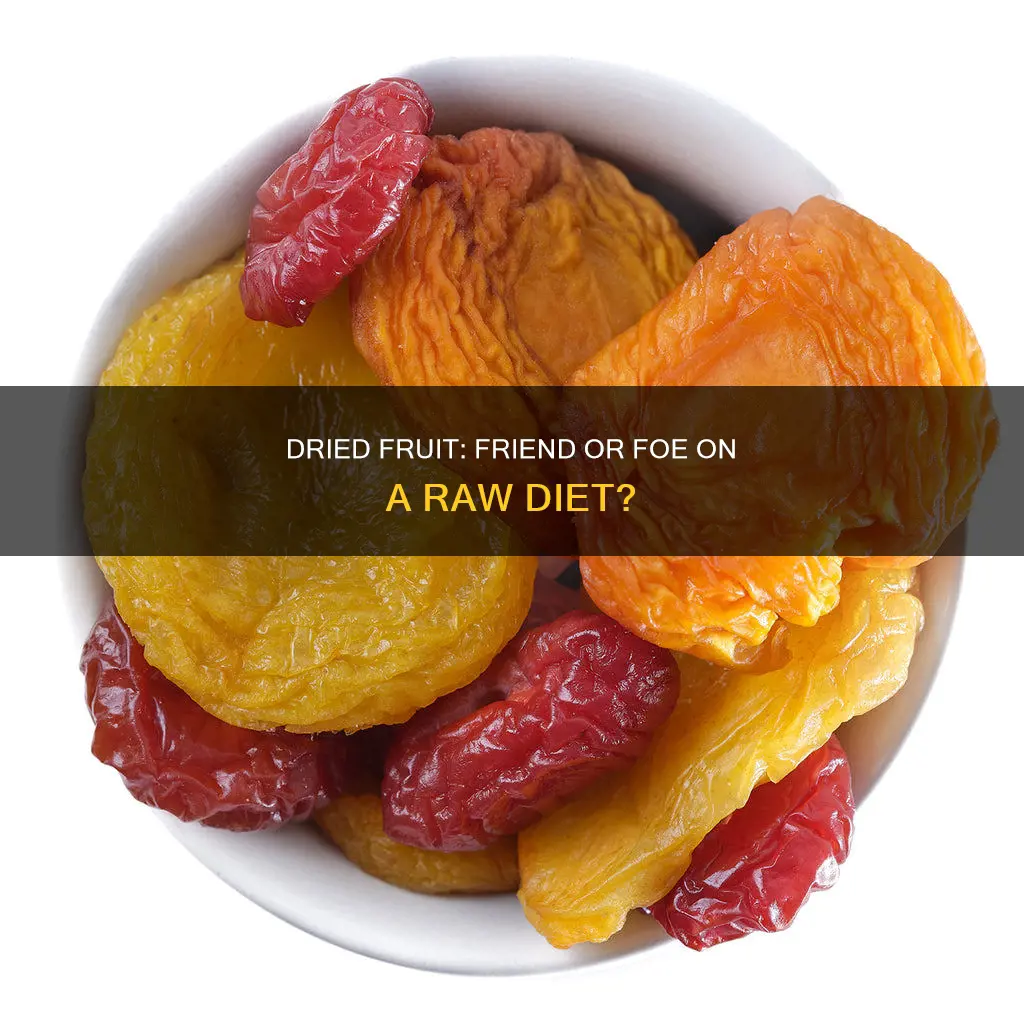 is dried fruit ok on a raw diet