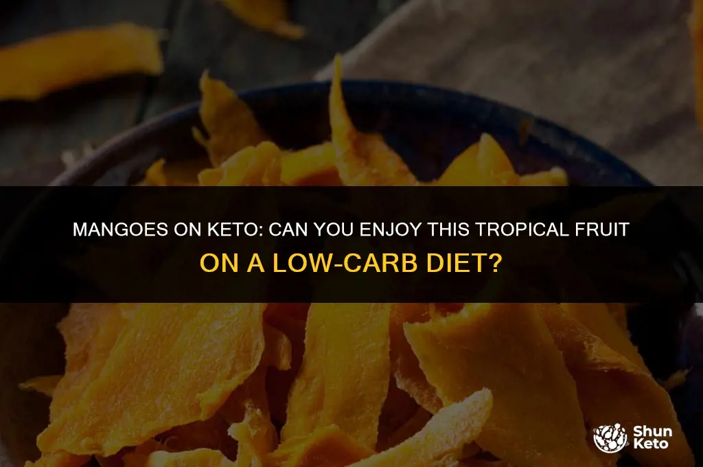 is dried mango keto