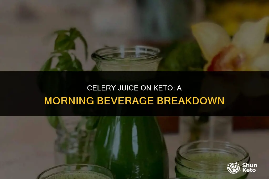 is drinking celery juice in the morning keto friendly