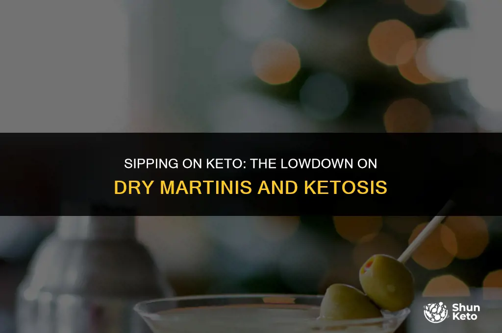is dry martini keto