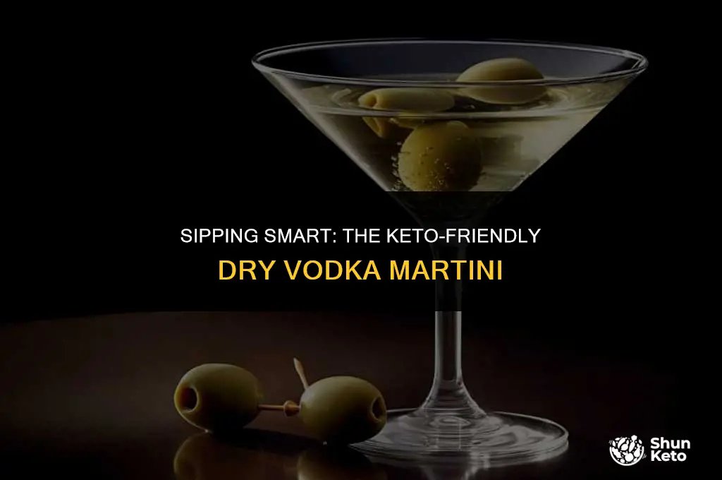 is dry vodka martini keto friendly