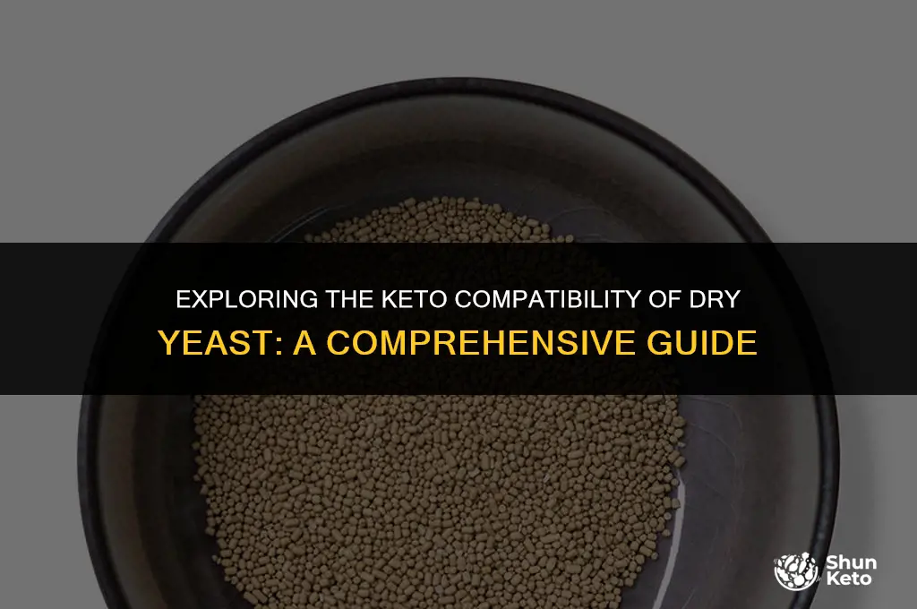 is dry yeast keto friendly