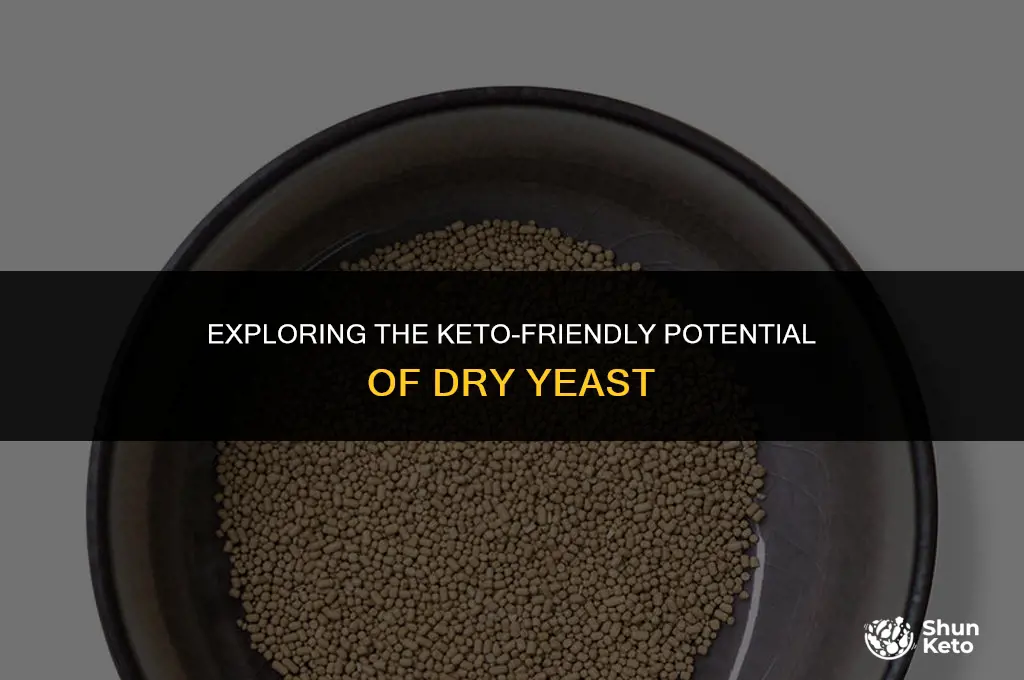 is dry yeast keto