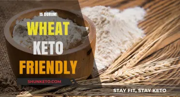 Durum Wheat on Keto: A Comprehensive Guide to Low-Carb Pasta