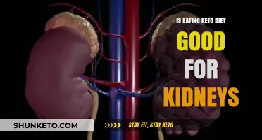 Is Keto Diet Kidney-Friendly? Exploring the Impact on Renal Health