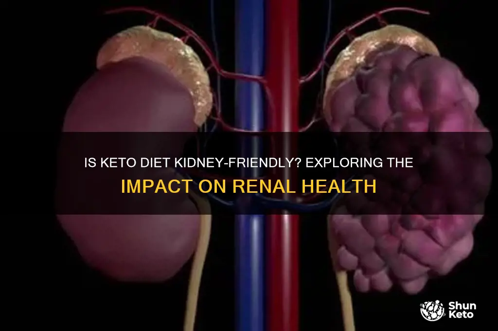 is eating keto diet good for kidneys