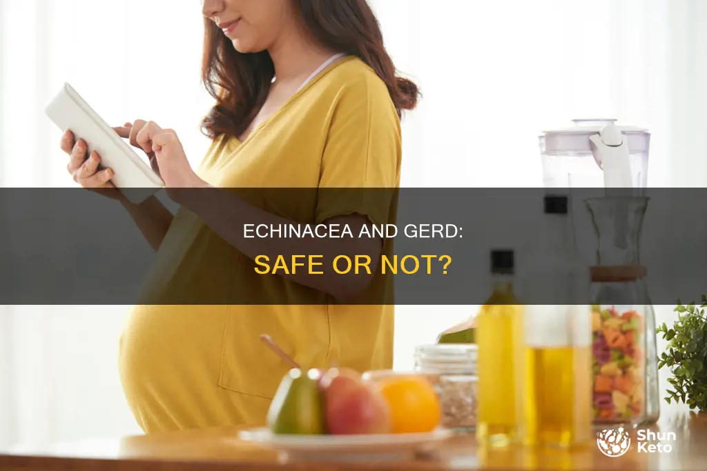 is echinacia allowed on a gerd diet
