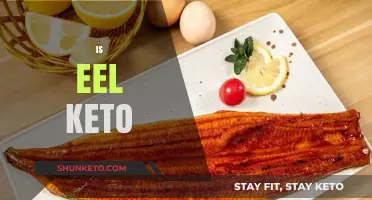 Exploring the Keto Diet: Can Eels Be a Part of It?