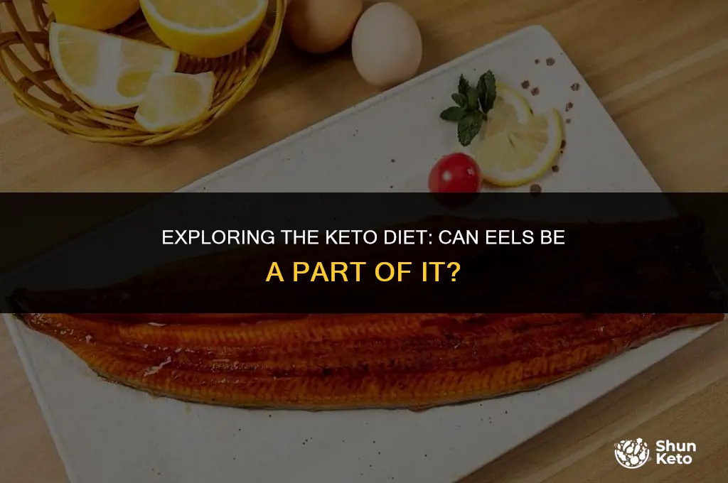 is eel keto