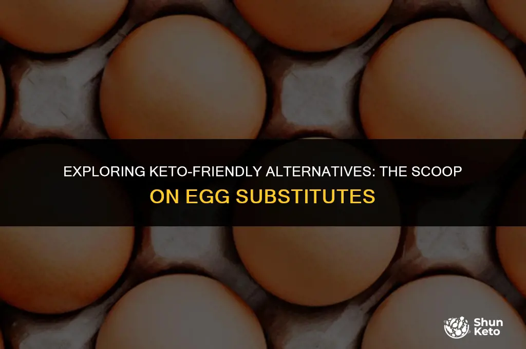 is egg sustitute keto friendly