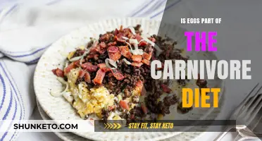 Carnivore Diet: Are Eggs Allowed?