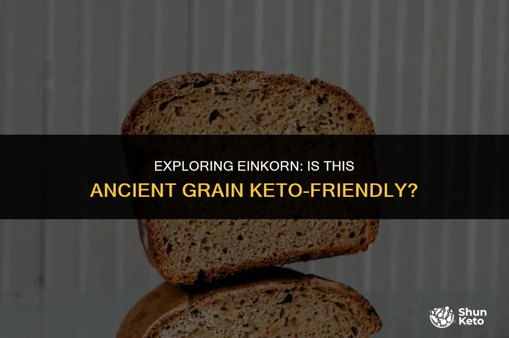 is einkorn keto friendly