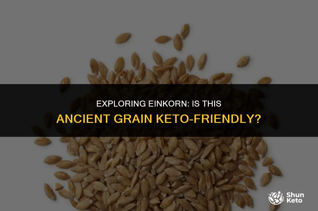 is einkorn keto