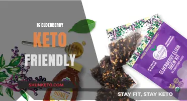 Exploring Elderberry's Keto Compatibility: A Comprehensive Guide