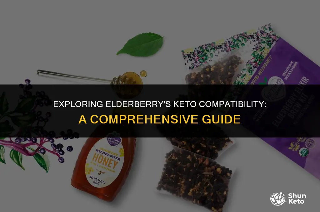 is elderberry keto friendly