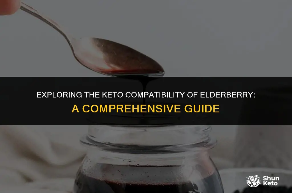 is elderberry keto