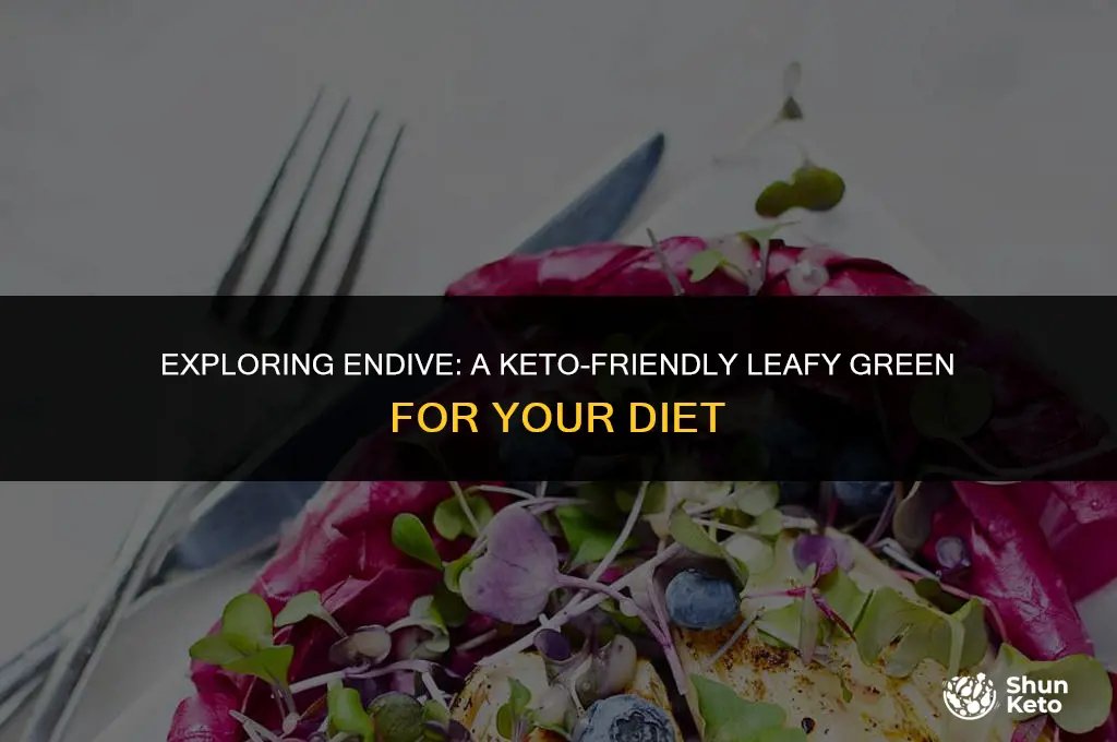 is endive keto friendly