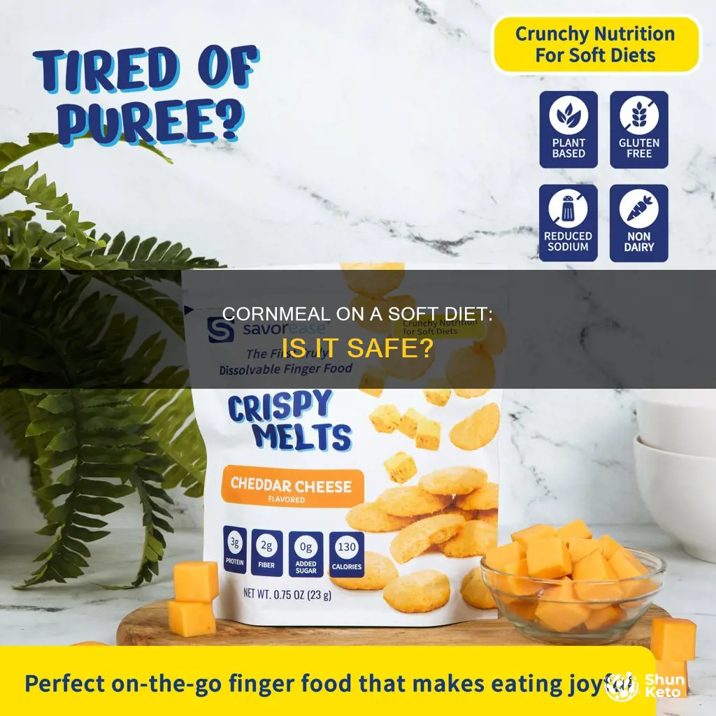 is enriched cornmeal ok on a gi soft diet