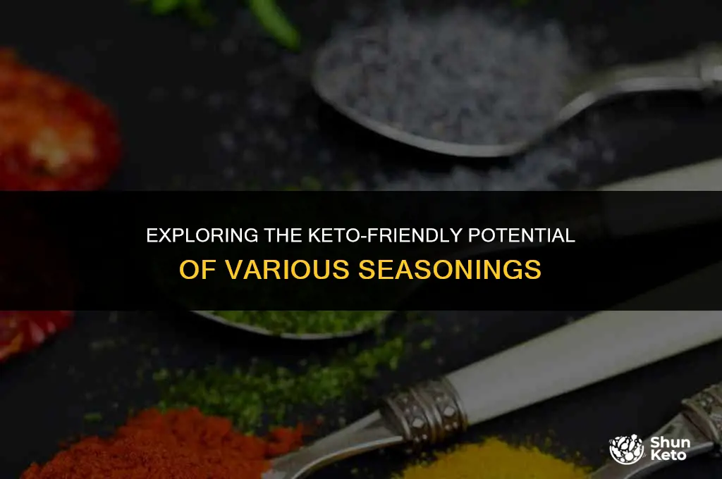is everything seasoning keto friendly
