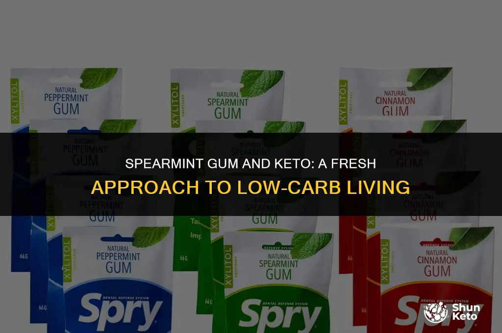 is extra spearmint gum keto friendly