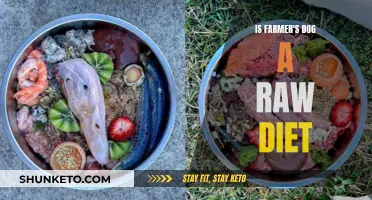 The Farmer's Dog: A Raw Diet for Your Pup?