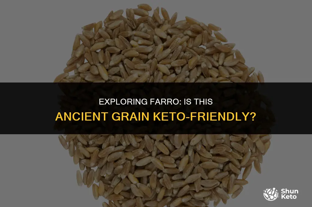 is farro grain keto friendly