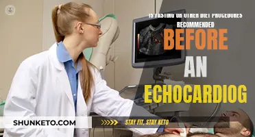 Fasting Before an Echocardiogram: Necessary or Not?