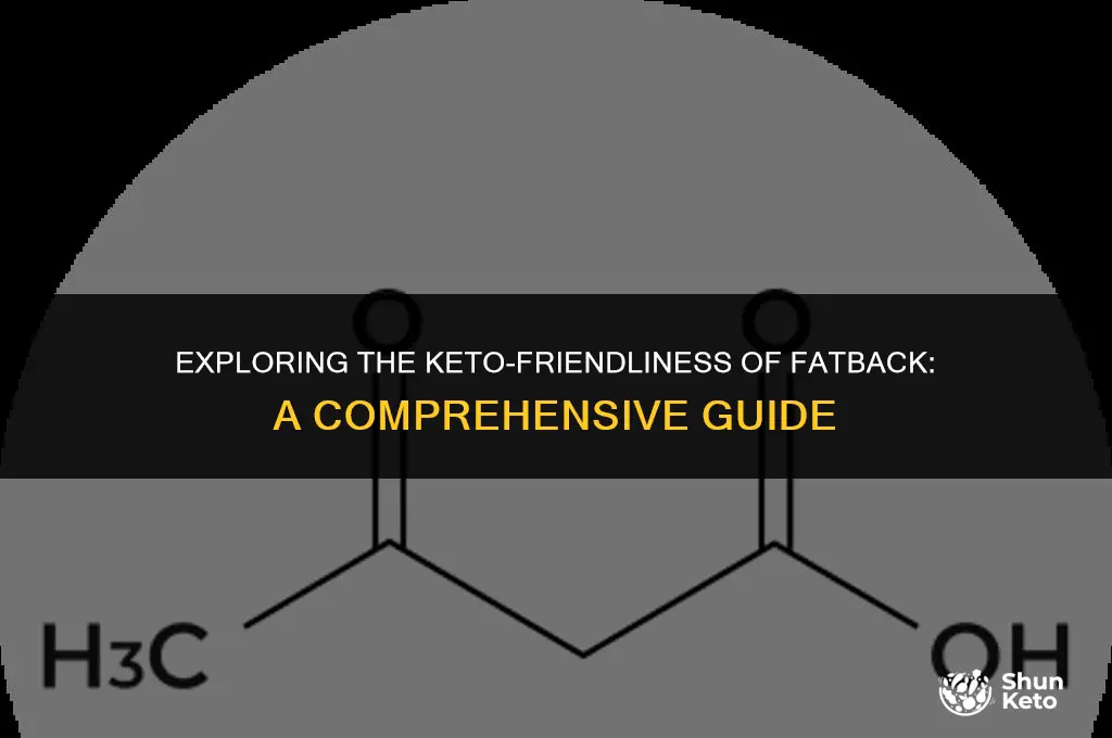 is fatback keto friendly