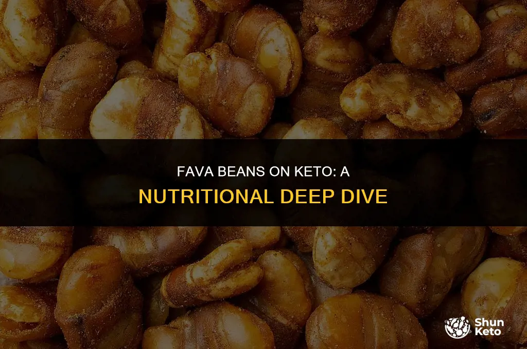 is fava bean keto