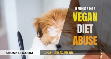 The Cruelty of Vegan Dog Diets: Abuse or Misguided Care?