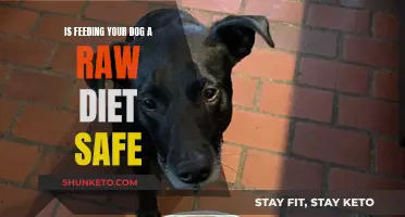 Raw Diets for Dogs: Safe or Not?