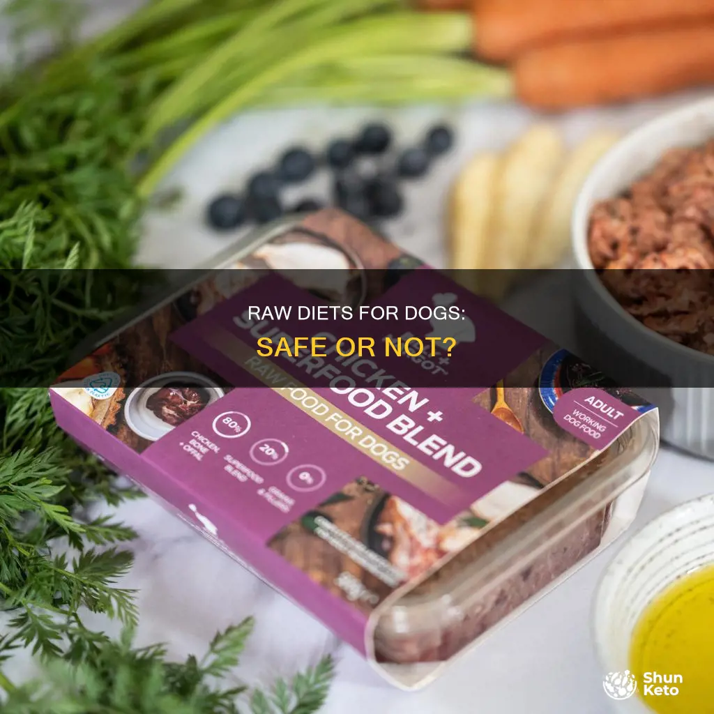 is feeding your dog a raw diet safe