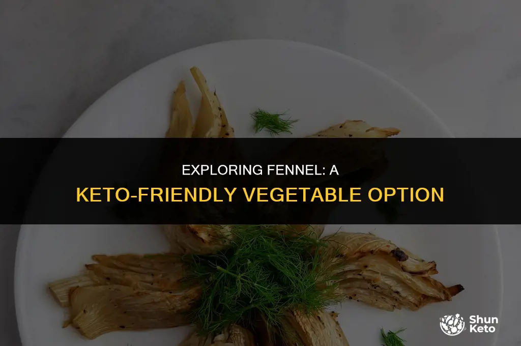 is fennel a keto vegetable